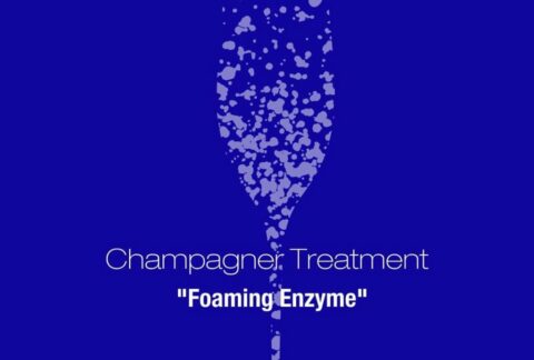 Champagner Foaming Enzyme Facial